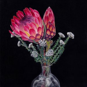Bouquet di protea reale