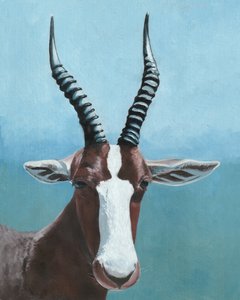 Lo sguardo del blesbok dipinto