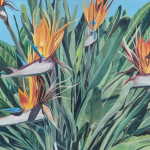 Un vivace uccello del paradiso da Viccy Wanliss