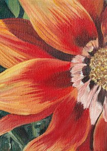 Fioritura arancione brillante da Viccy Wanliss