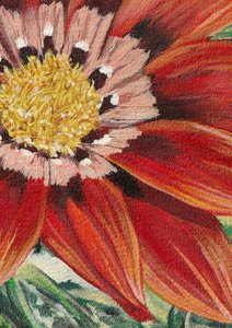 Fiore rosso intenso da Viccy Wanliss