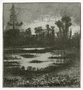 Les Chants du Crépuscule, XIX Secolo