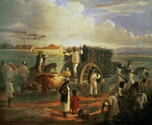 Il mulino di Cana
