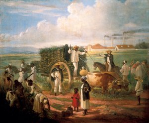 Raccolta di canne da Victor Patricio de Landaluze
