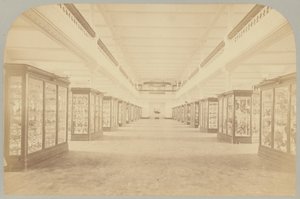 Pl. III. Storia principale: Uccelli da Victor Prevost, Gaston L. Feuardent and Co., New York