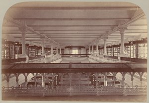 Pl. IV. Storia della Galleria: Etnologia e Archeologia