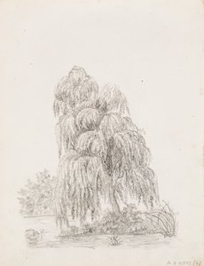Albero a foglia larga da Victoria Åberg