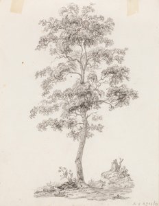 Albero da Victoria Åberg