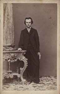 Ritratto del compositore Anton Rubinstein 1829-1894 da Vienna . Photo studio Franz Schultz