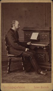 Ritratto del librettista e compositore Franz Friedrich Richard Genée 1823-1895, ca 1880-1885