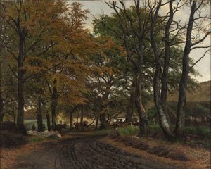 Una Strada Battuta sotto Vecchi Alberi