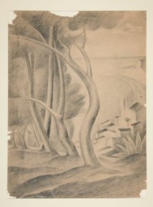 Paesaggio