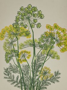 Fresco aneto giallo
