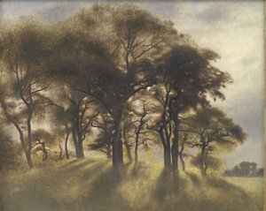 Vicino a Fortunen, Parco dei Cervi di Jægersborg, a nord di Copenaghen da Vilhelm Hammershøi