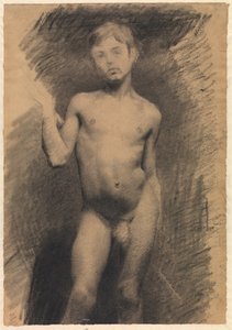 Ragazzo nudo in piedi. Studio di modello