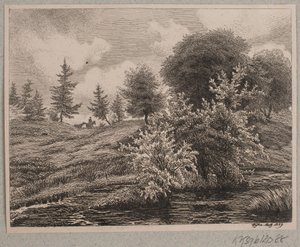 Colline vicino a una palude da Vilhelm Kyhn
