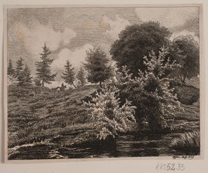 Colline presso una palude da Vilhelm Kyhn