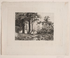 Querce ai margini di una foresta