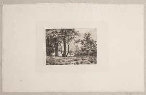 Querce ai margini di una foresta