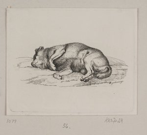 Un cane sdraiato da Vilhelm Kyhn