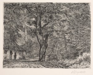 La casa nel bosco