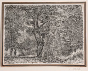 La casa nel bosco