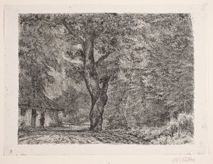 La casa nel bosco