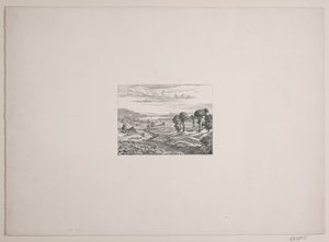 Paesaggio dalla regione di Himmelbjerget
