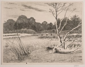 Tramonto in una foresta da Vilhelm Kyhn