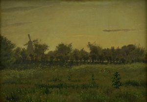 Il prato vicino alla casa dell