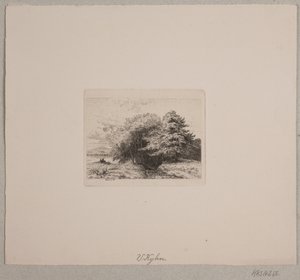 Margine di una foresta da Vilhelm Kyhn