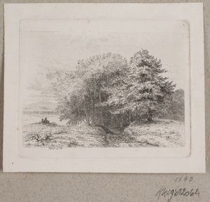 Margine di un bosco