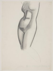 Modella femminile, torso