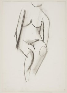 Donna nuda seduta vista di fronte