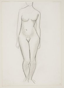 Donna nuda in piedi vista di fronte
