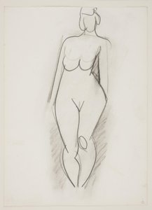 Donna nuda in piedi vista di fronte