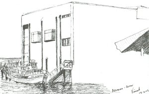 Acquario di Boston da Vincent Alexander Booth