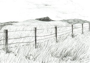 Culter Fell da Hartfell, 2005