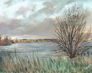 Fannyside Loch, 2009 da Vincent Alexander Booth