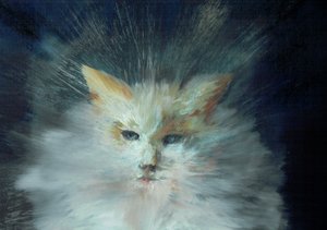 Monty fluffball, 2015 da Vincent Alexander Booth