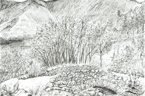 Vecchio ponte di pietra nel distretto dei laghi, 2005