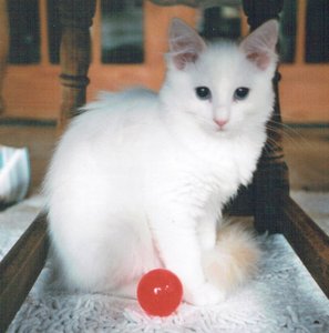 Ragazzo con palla rossa