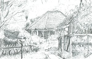 Camere in hotel, Lago Naivasha, 2006 da Vincent Alexander Booth