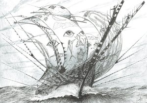 Creatori di tempeste Mare di Bering