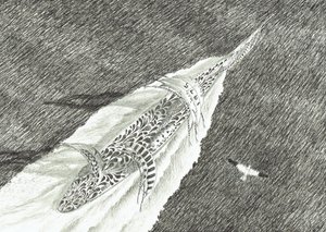 Creatori di Tempeste Capo Canaveral da Vincent Alexander Booth
