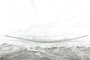 Creatori di Tempeste Cape Leveque da Vincent Alexander Booth