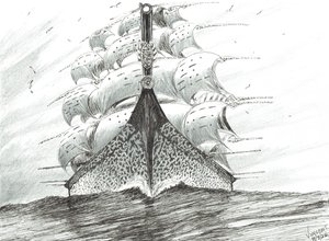 Creatori di Tempeste Capo Reinga da Vincent Alexander Booth
