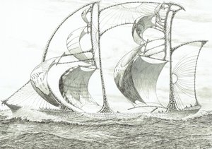 Creatori di Tempeste Capo San Diego