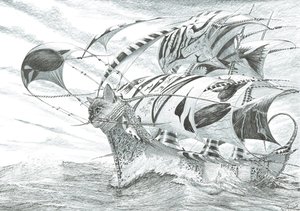 Creatori di tempeste Mare di Chiloé