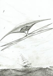 Creatori di tempeste Foxe Basin, 2022 da Vincent Alexander Booth